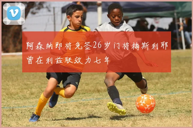 阿森纳即将免签26岁门将梅斯利耶曾在利兹联效力七年