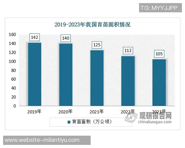 徐静雨分析布伦森历史地位提升文班尚需努力提升产量与未来潜力